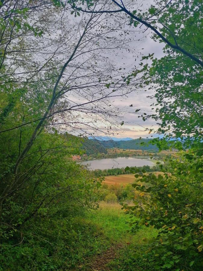 Ca' Dei Berici - Residence Ad Arcugnano Grancare Eksteriør billede
